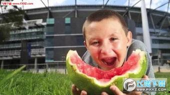 男生回复吃瓜表情包,揭秘男生吃瓜表情包背后的故事