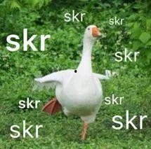 swag吃瓜网,swag吃瓜网带你畅游明星幕后故事