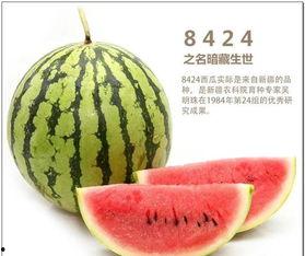 吃瓜社 中国,吃瓜社带你领略幕后风云